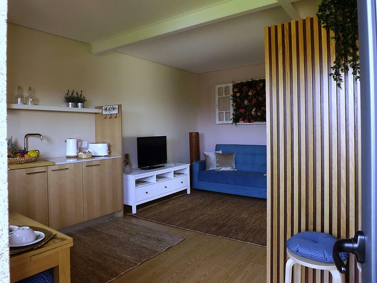 Casa Maximo Apartman Penafiel Kültér fotó