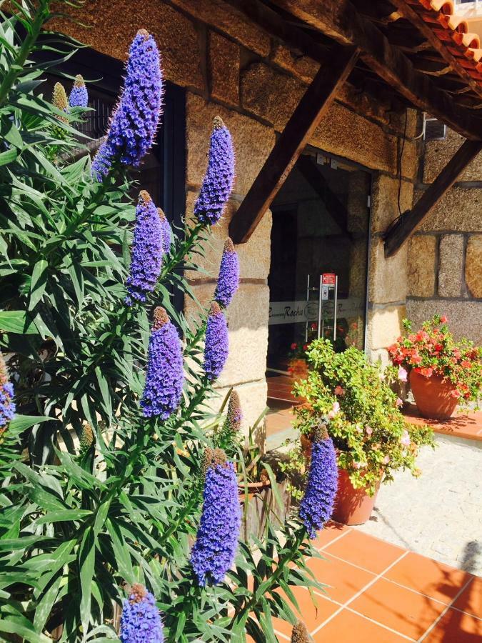 Casa Maximo Apartman Penafiel Kültér fotó