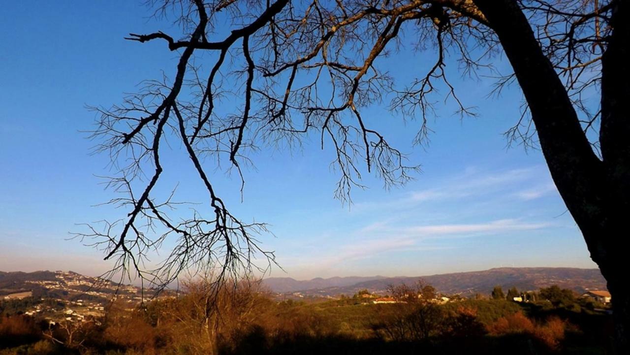 Casa Maximo Apartman Penafiel Kültér fotó